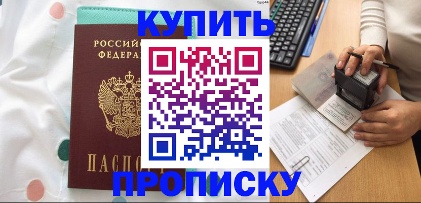 прописка в квартире в Новом Осколе